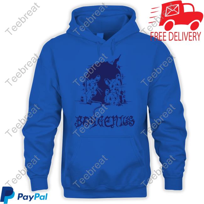 Boygenius Mice Shirt Phoebe On Tour Boygenius Mice Shirt Phoebe On Tour