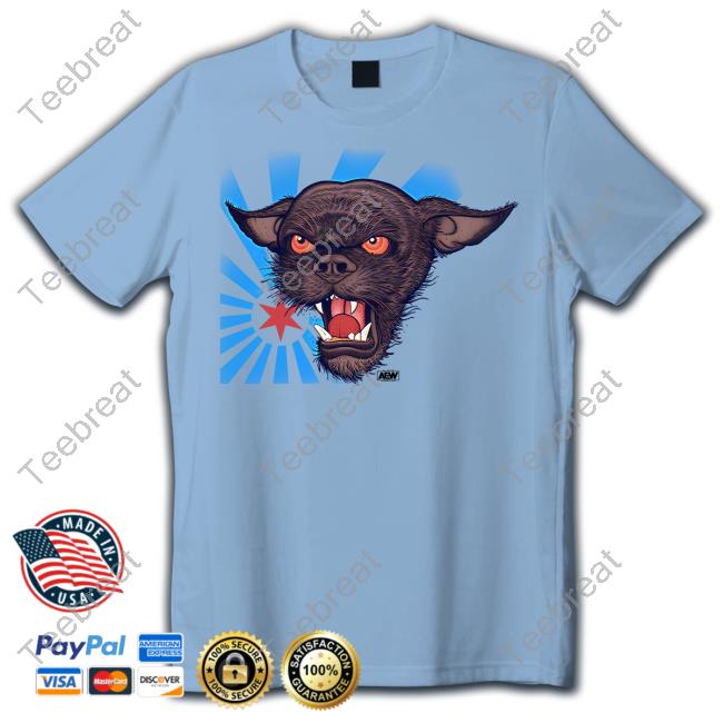 Official Aew Shop Cm Punk Rowdy Ringer T-Shirt Official Aew Shop Cm Punk Rowdy Ringer T-Shirt