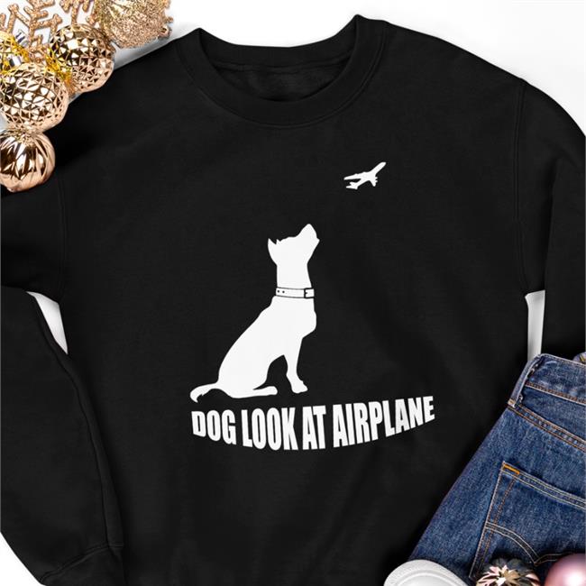 Dog Look At Airplane Hoodie