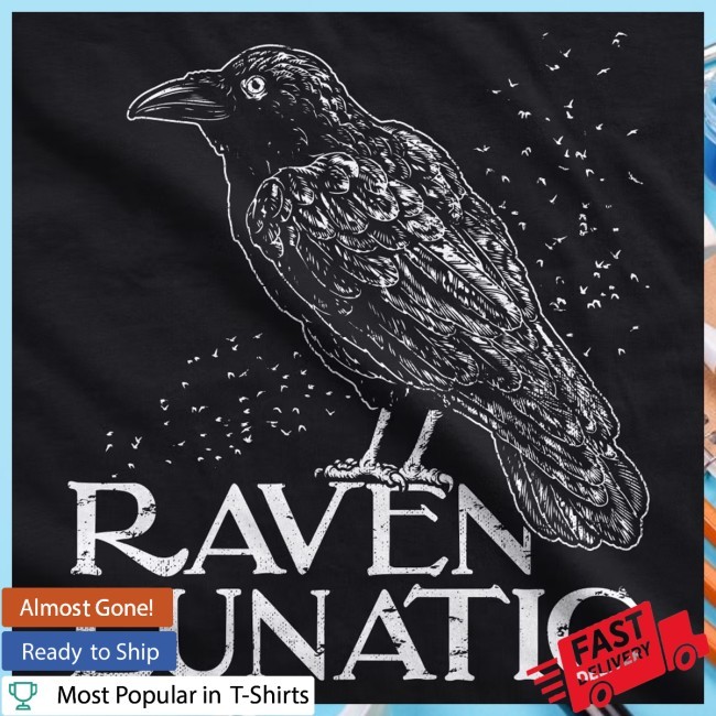 Target Raven Lunatic Unisex Hoodie Funny Sarcastic Crow Lovers Graphic Novelty New Hoodie