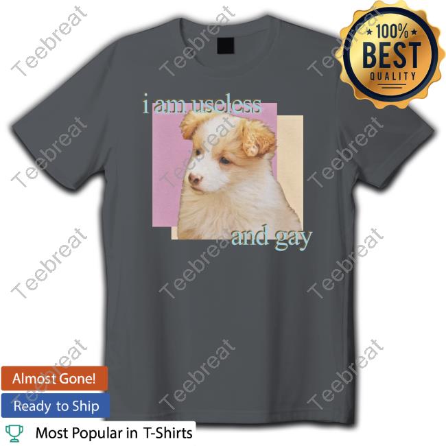 Shirts That Go Hard I Am Useless And Gay T-Shirt