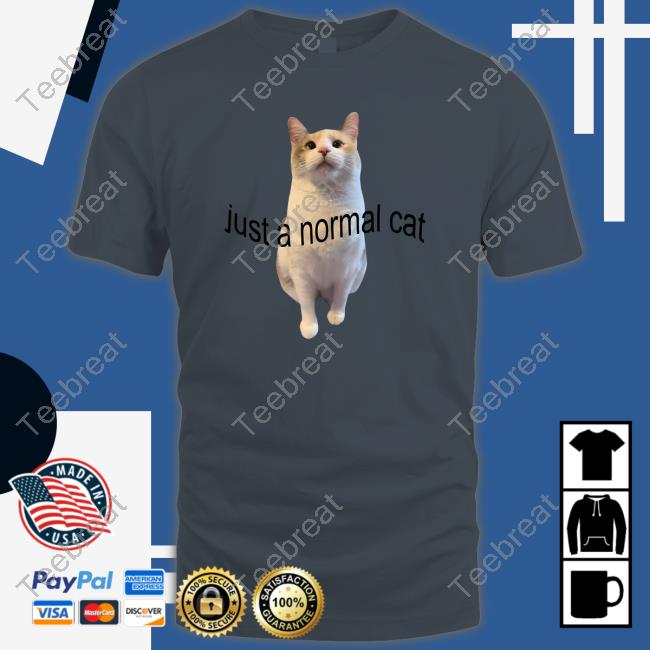 Just A Normal Cat Hoodie Panko A Cat’S Mom
