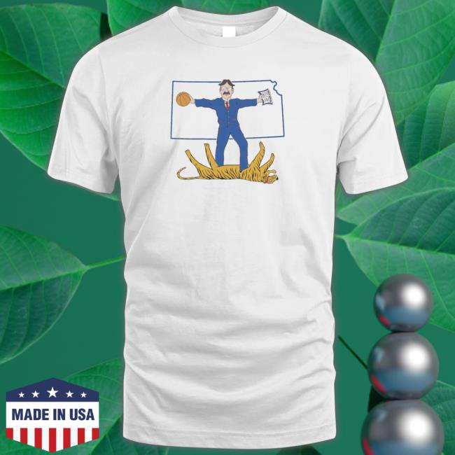 Official Nice tiger Stomp Ball 2022 Tee