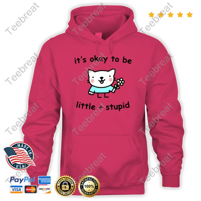 Official Stinky Katie Merch It's Okay To Be Little And Stupid Shirts