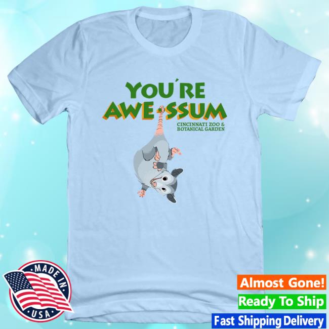 You're Awe-Ssum Possum Shirt