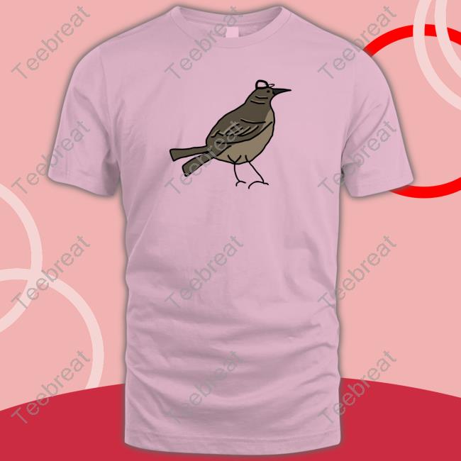 Dallas Stars Mr Mockingbird Has His Victory Green Shirts