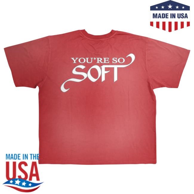 Official This Is Lany Merch Store "You're So Soft" New Shirt