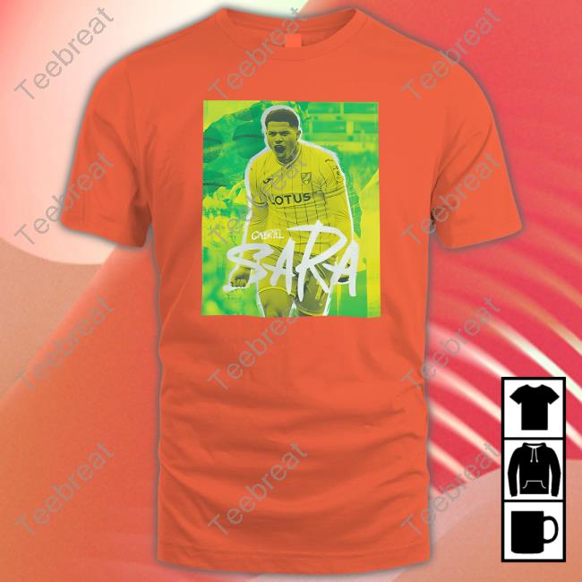 Gabriel Sara T Shirt