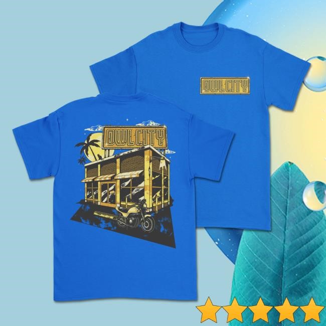 Coco Moon Storefront New Shirt Owl City Official Merchandise