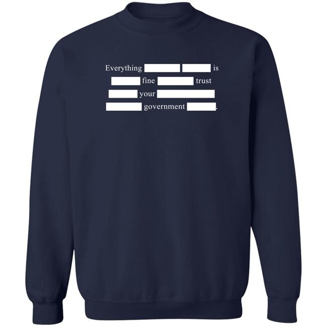 Sweet Dees Tees Merch Notsweetdeesez Everything Is Fine Trust Your Government T Shirt