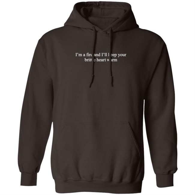 I’m A Fire And I’ll Keep Your Brittle Heart Warm Shirt Hoodie Urban Outfitters Folklore Merch Taylor Swift Store
