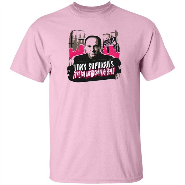 The Hard Times Shop Sopranos X Tony Hawk T-Shirt Hard Drive Nhung - The Hard Times Shop Sopranos X Tony Hawk T-Shirt Hard Drive
