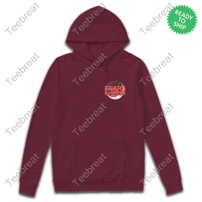 Bearsintrees Store Shop Merch Bears In Trees Ferris Wheel Tee