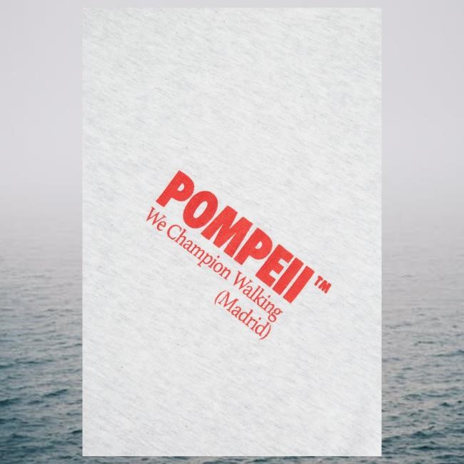 Pompeii Classic Grey Boxy Tees | Buy Official Pompeii Apparel