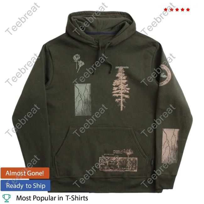 Official Flatspot Patagonia Pyrophytes Uprisal Pullover Sweatshirt Basin Green