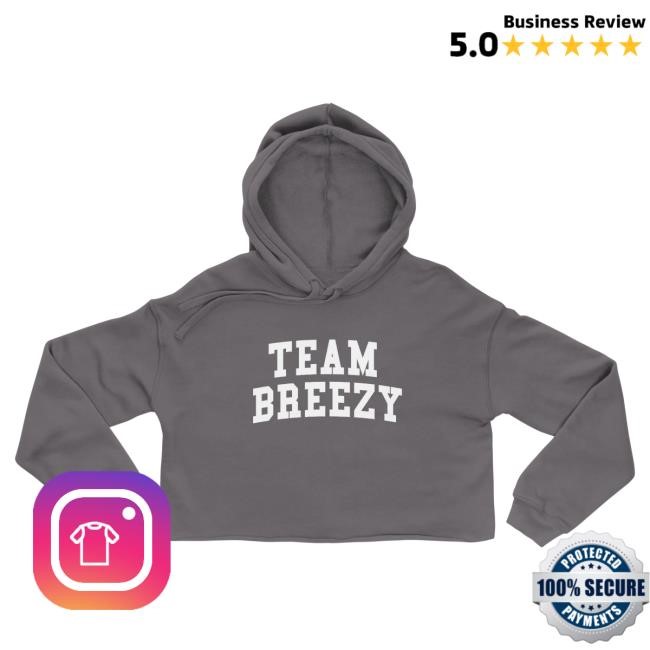 Official Chris Brown Merch Store TEAM BREEZY ARCH CROP Hood Storm ChrisBrown