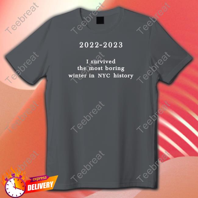 2022-2023 I Survived The Most Boring Winter In Nyc History T Shirt