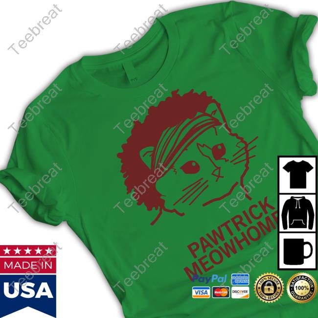 Raygun Merch Pawtrick Meowhomes Hoodie
