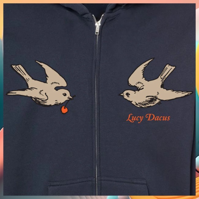 Swallows Hoodie Lucy Dacus Merch Store